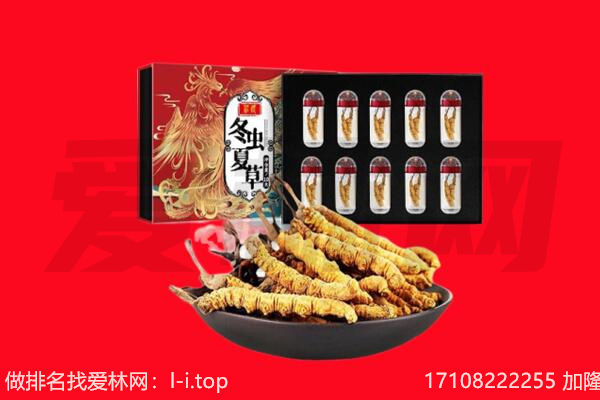 儋州市临高回收虫草.jpg